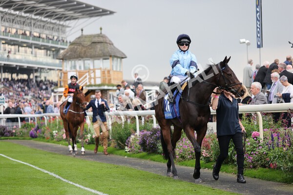 yr09102021r2-11 - Race 2 2.02pm Coral Beaten-By-A-Length Free Bet Rockingham Stakes