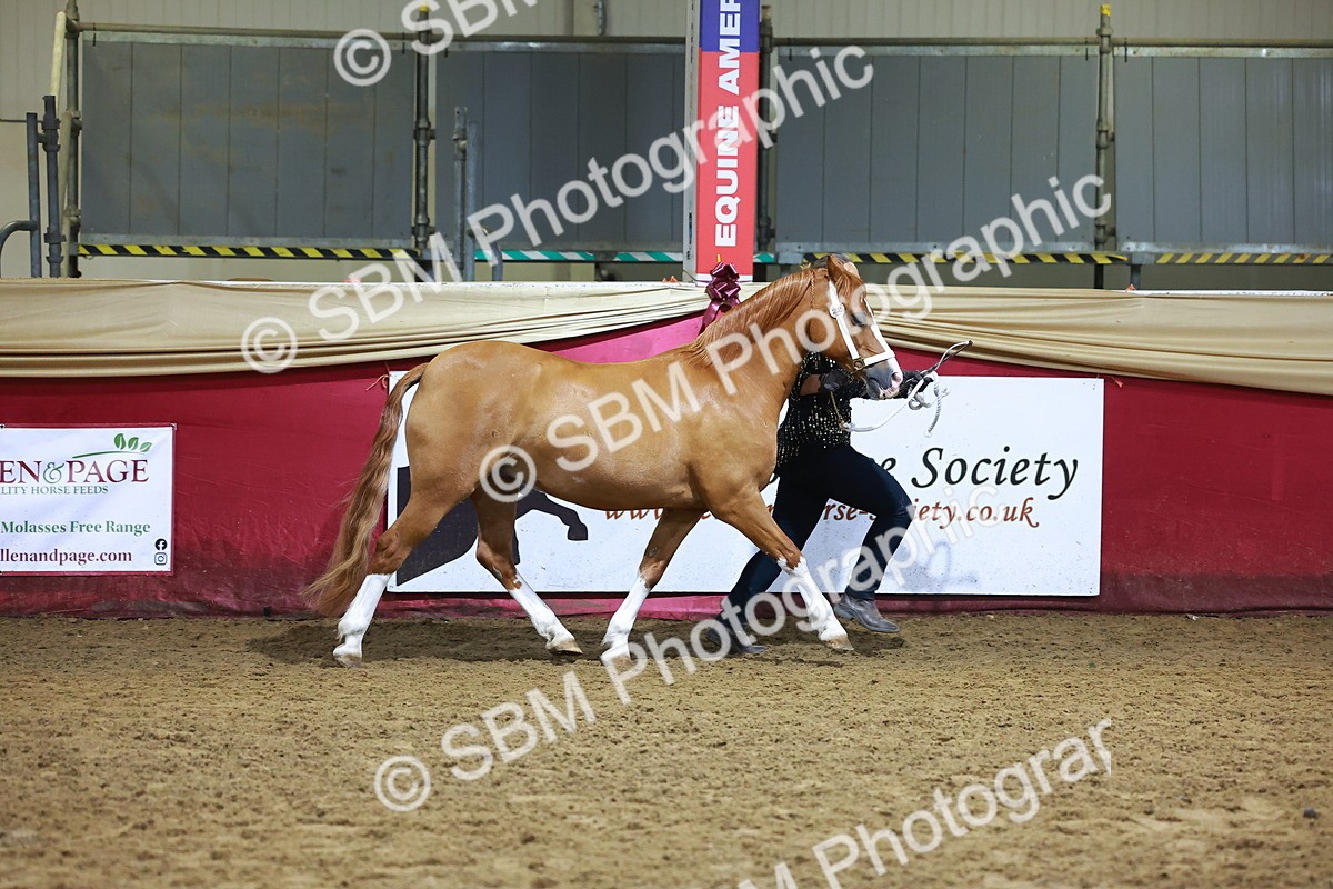 SBM_15240 - Class P - M&M Champ