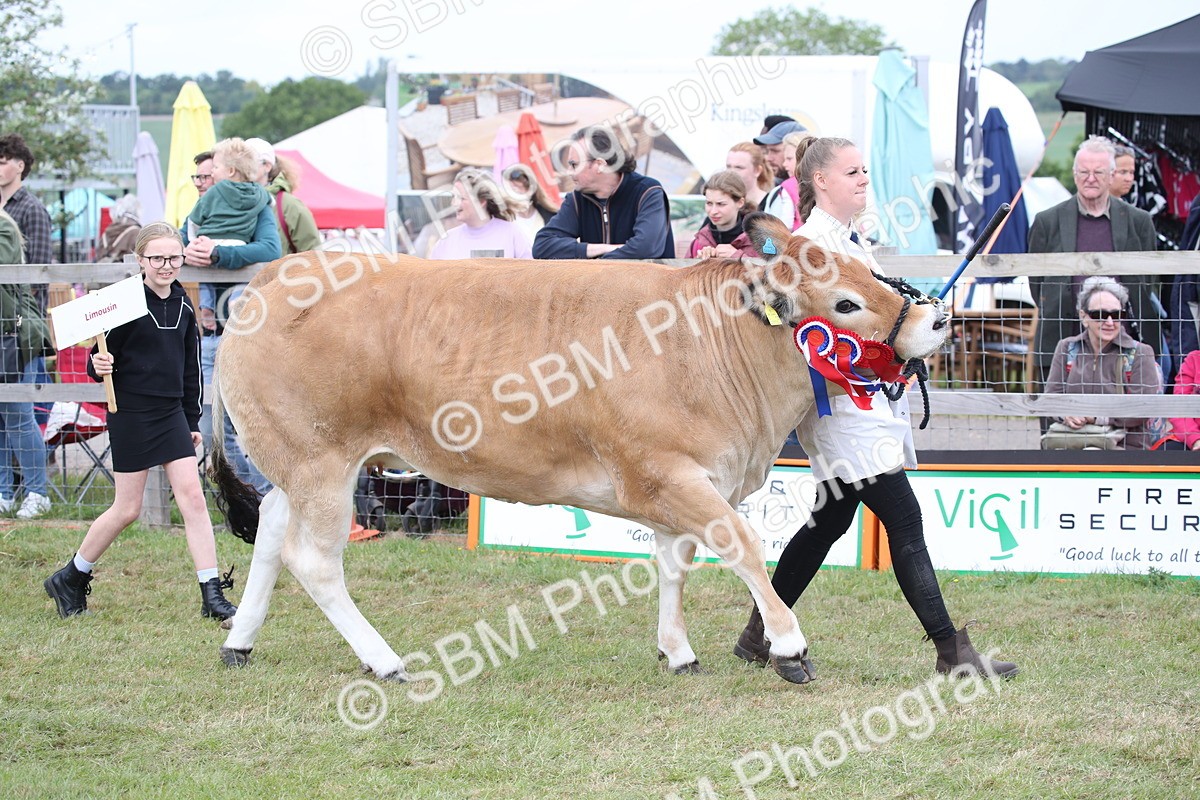 SBM_07844 - Grand Parade