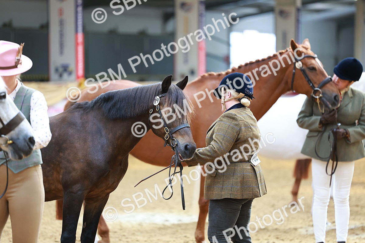 SBM_04158 - Class 9R - IH Pre-Vet
