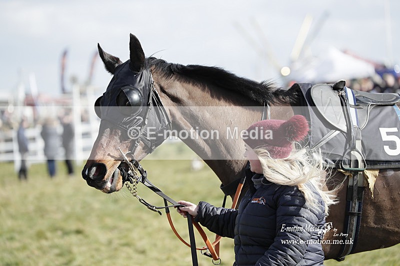 PtP 260223 358 - South & West Wilts Point-to-Point Larkhill 26/02/23