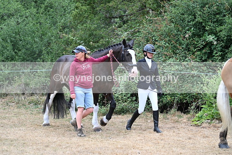 WJ7_8630 - Class 4a Prettiest Mare 14.2hh and over