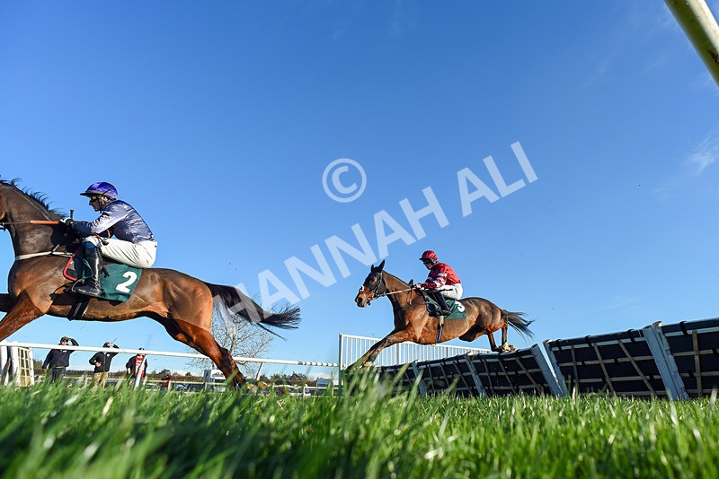 221124-Race 1-You Some Girl-2644 - Race 1