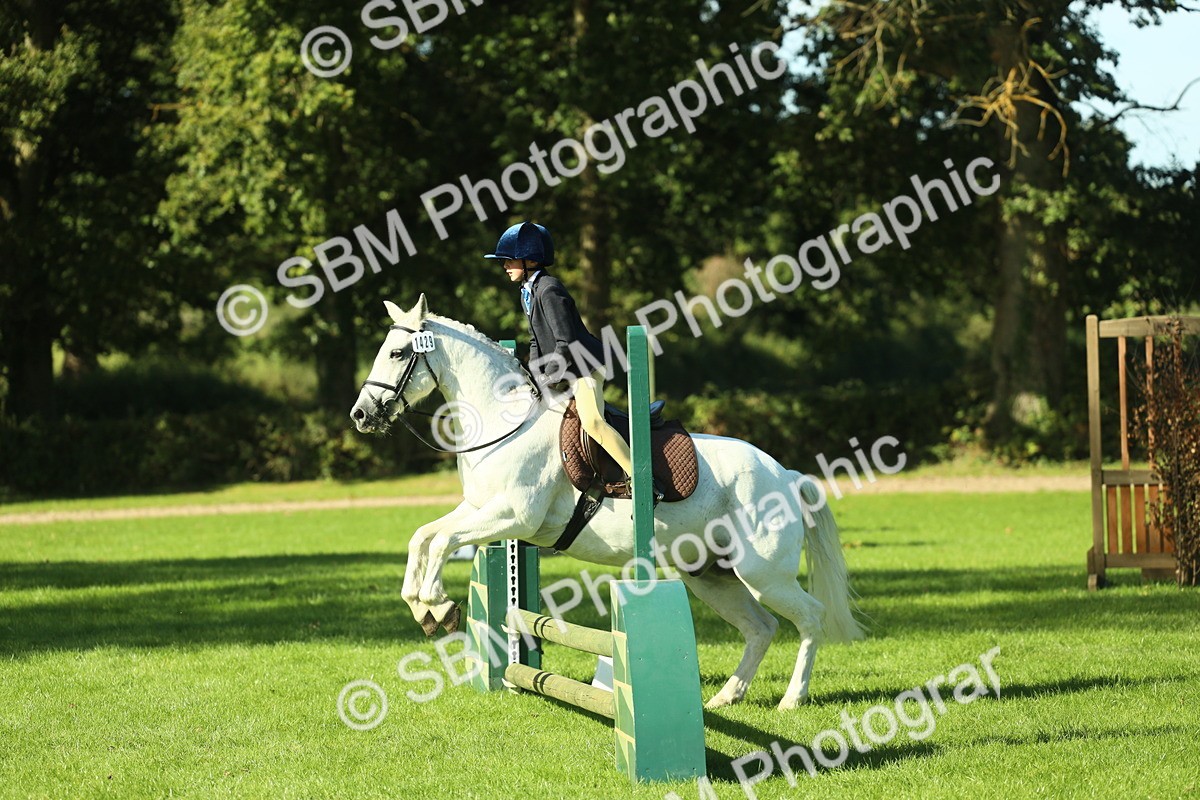 SBM_36486 - S29 - Novice & Newcomers Working Hunter Pony