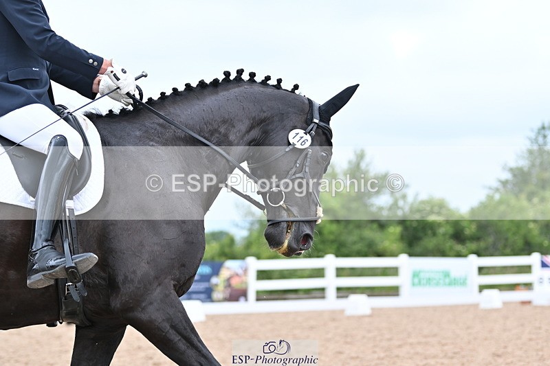 240623A-132743-18344 - Cls 51 BD Elementary 53