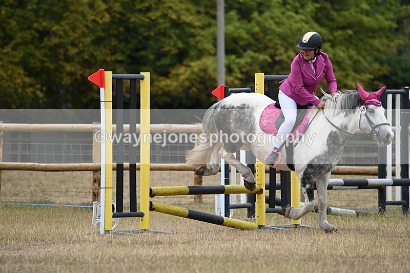 WJ6_0109 - Class 13 Novice Jumping 60cm