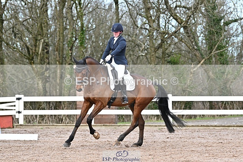 250125-130254-00536 - Dressage - CT Class 6 BE102