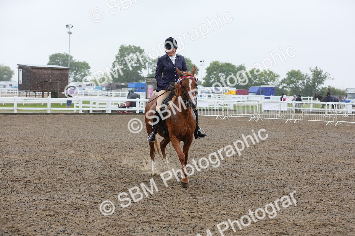 SBM_20367 - Class 803 - Ridden Combination 65+