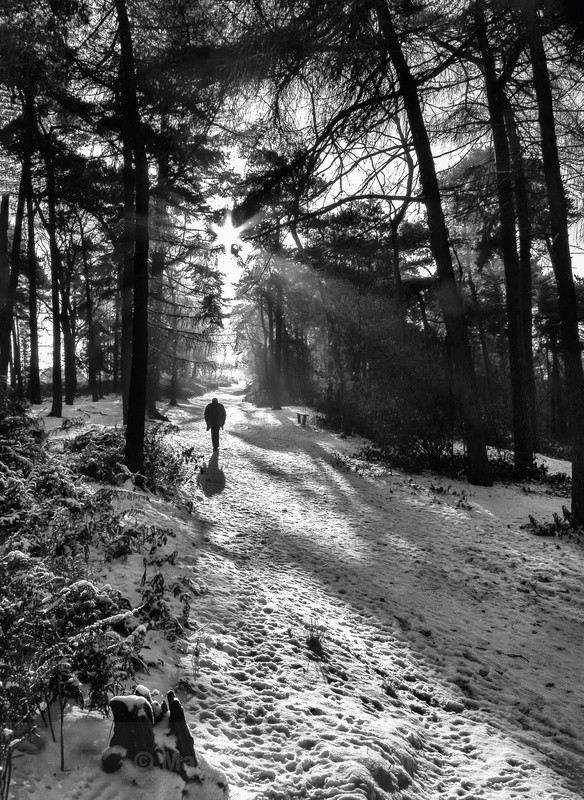 Solitary Man - Black & White/Monochrome