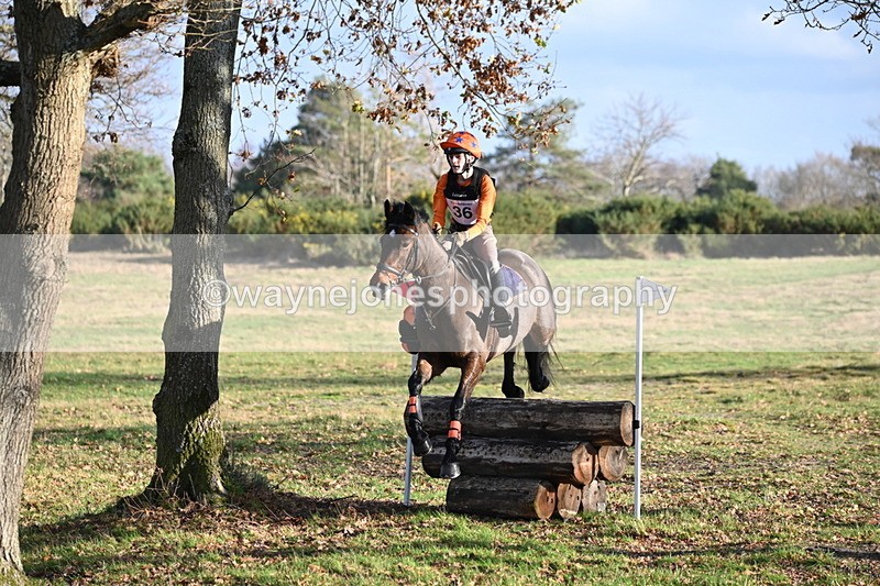 WJ6_3959 - Camera 1 XC