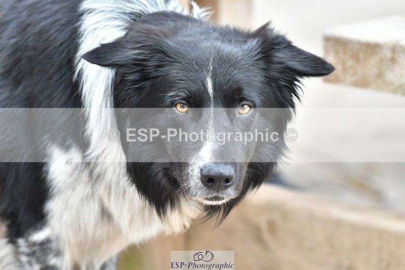 230817-153833-03104 - Presentations