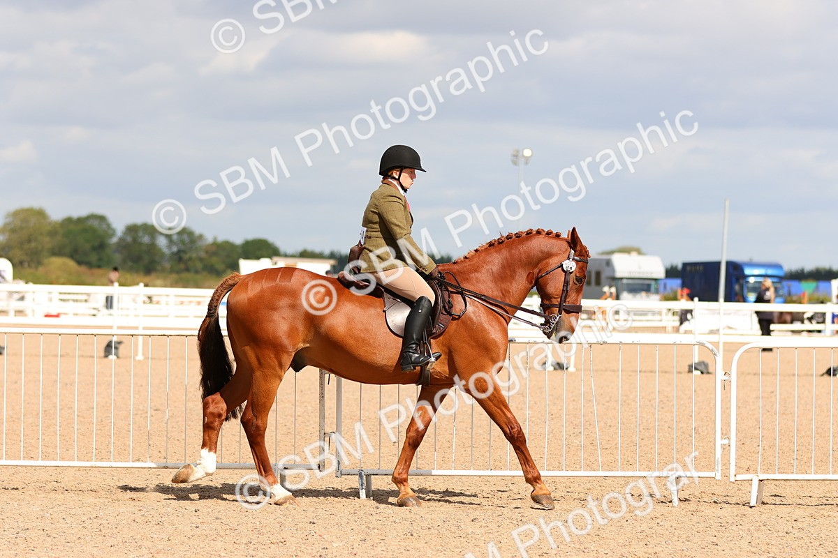 SBM_13184 - Class 211 - Ridden Hunter - Small