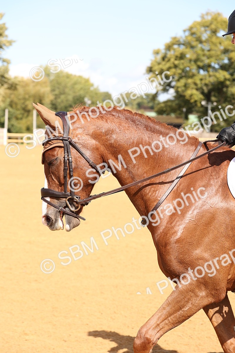 SBM_20233 - D10 - Small Tour Championship Prelim 2