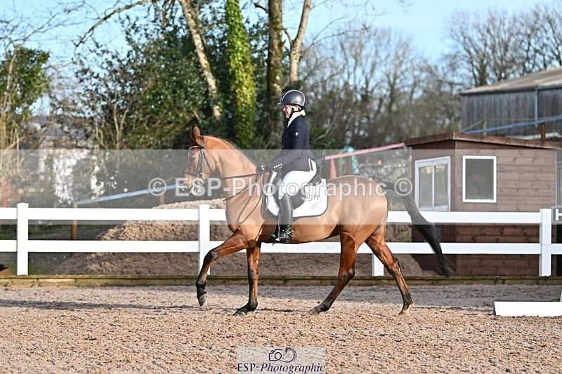 250125-101611-00139 - Dressage - CT Class 4 BE95 (80cm)