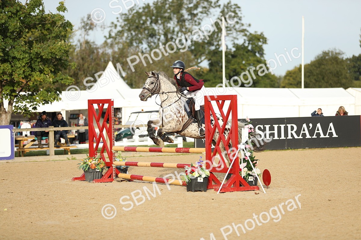 SBM_55937 - J24 - Junior Horse 75cm Championship