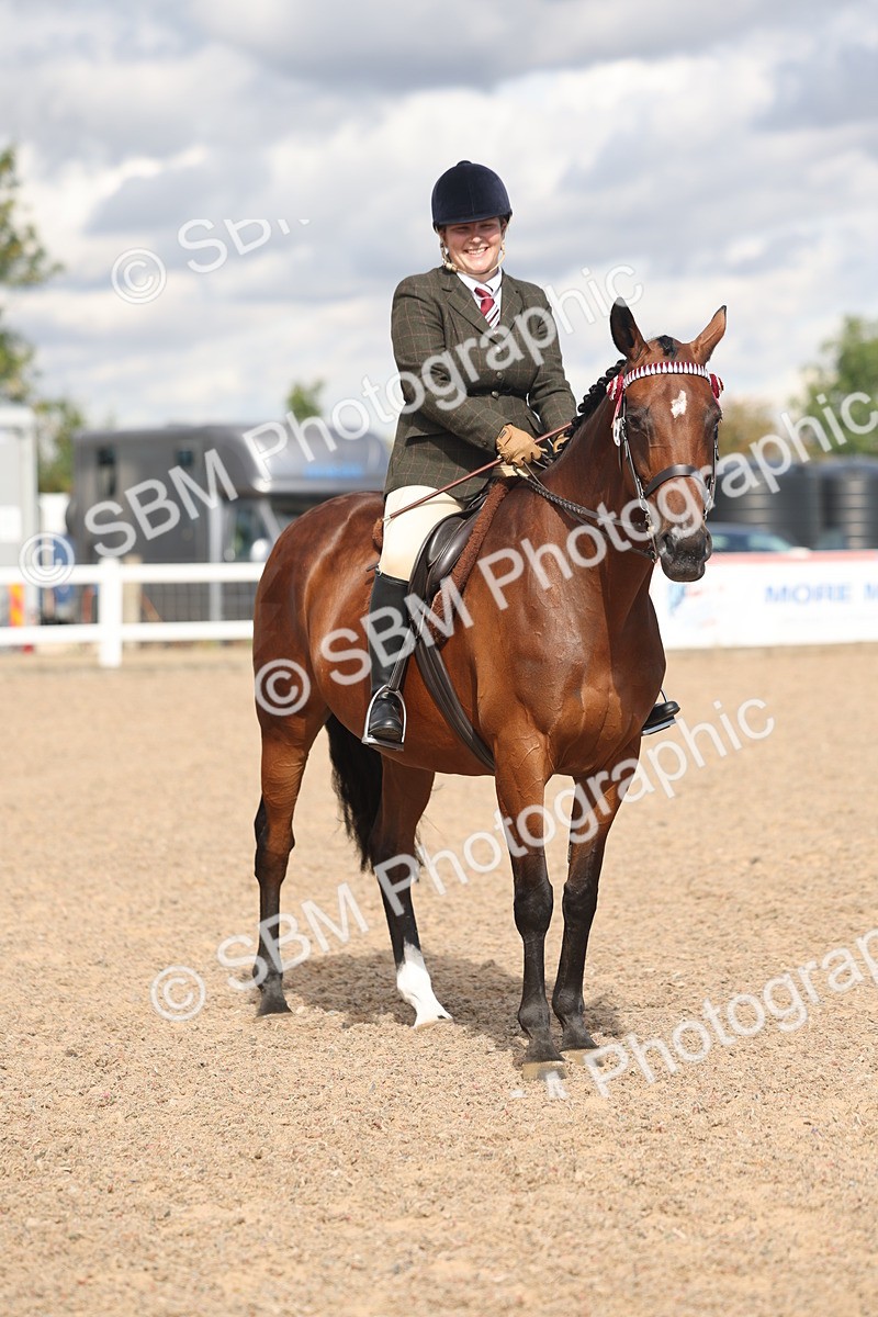 SBM_13192 - Class 306 - Ridden Foreign Breds - Part Bred