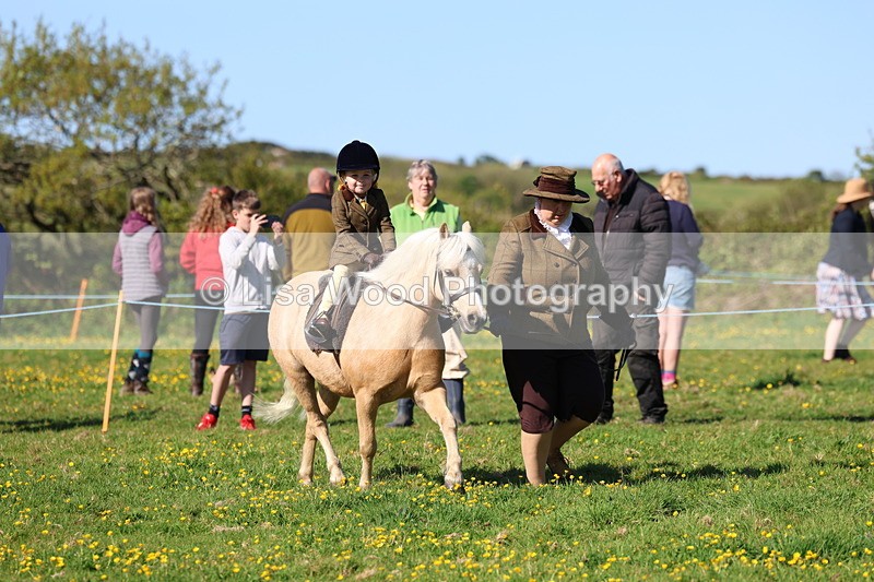 3E7A8732 - Class 2: Lead rein