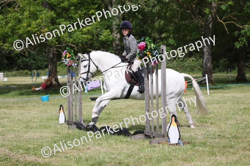 20260614-0546 - Class 20 - Beginners Working Hunter Pony