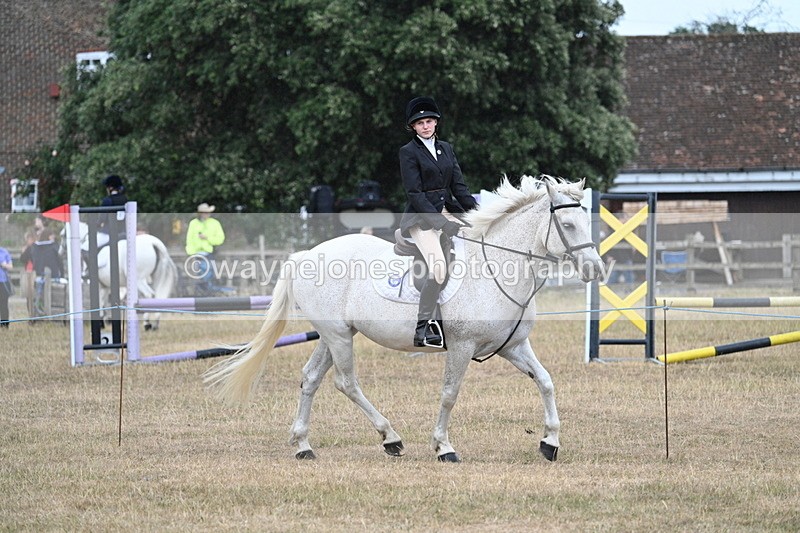 WJ7_0958 - Class 7 Riding Club Show Horse