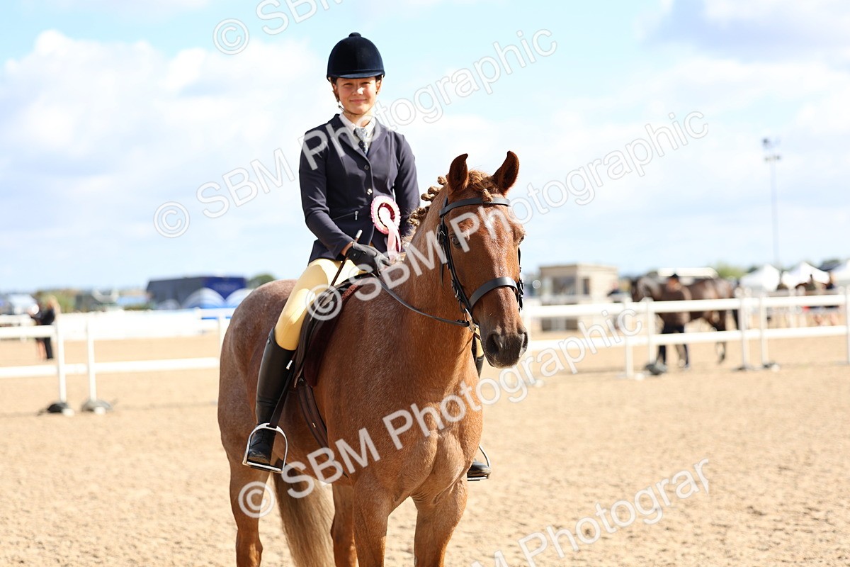 SBM_10156 - Class 304 - Ridden Part Bred Horse Pony