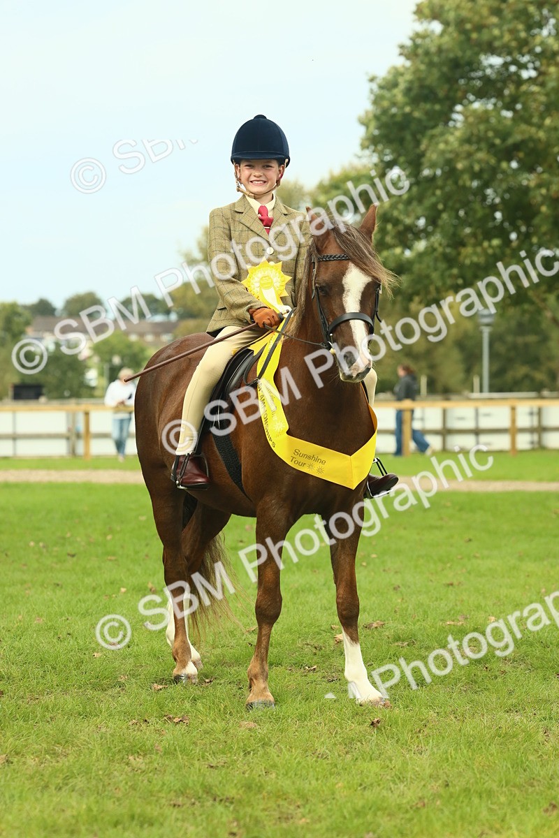 SBM_70014 - S59 - Mountain & Moorland Ridden Small Breeds