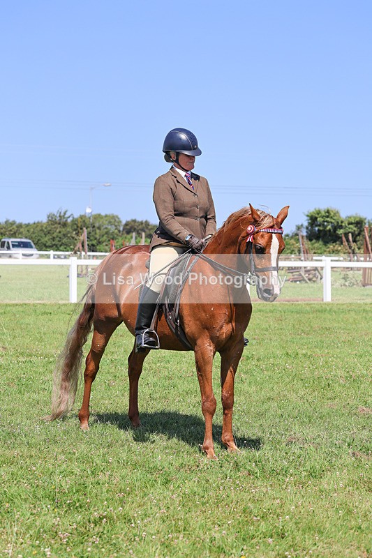 IMG_2228 - Class 37: Pure, Anglo & Part Bred Ridden Arab