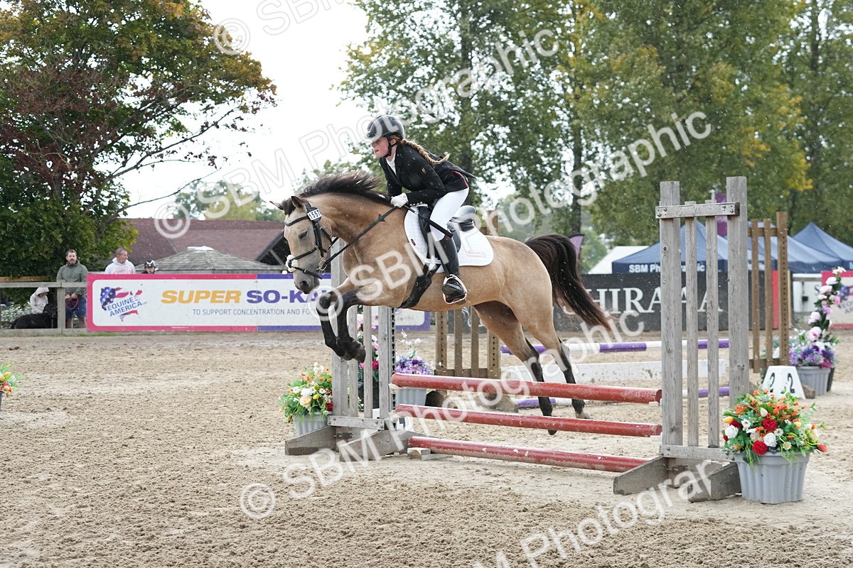 SBM_43078 - J7 - Junior Pony 60cm Championship