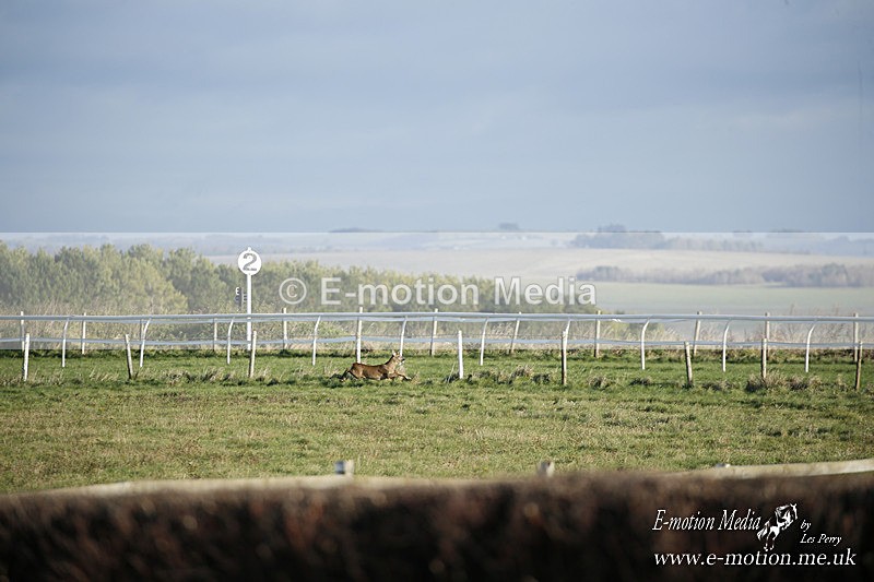PtP 121220 072 - Avon Vale Races Larkhill 12/12/20