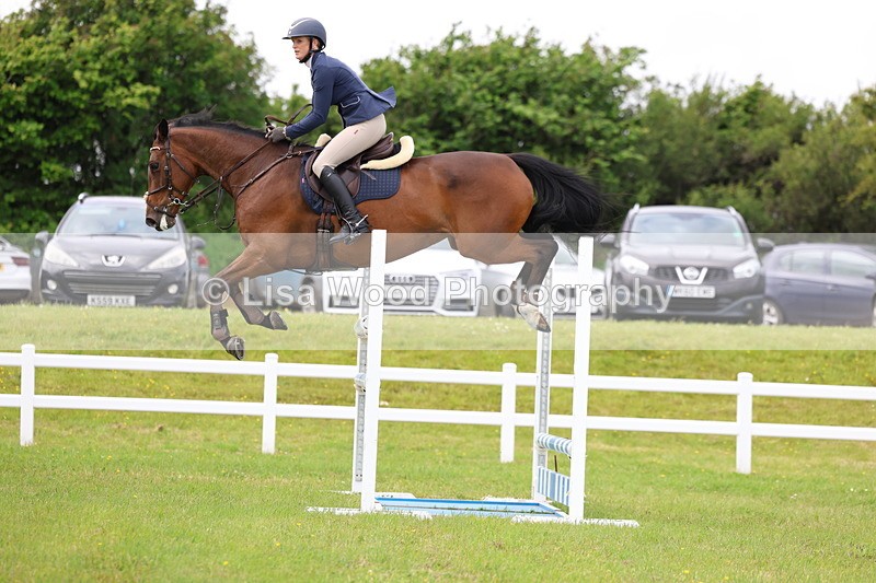 3E7A7141 - Class 12: Senior Foxhunter/1.20 open