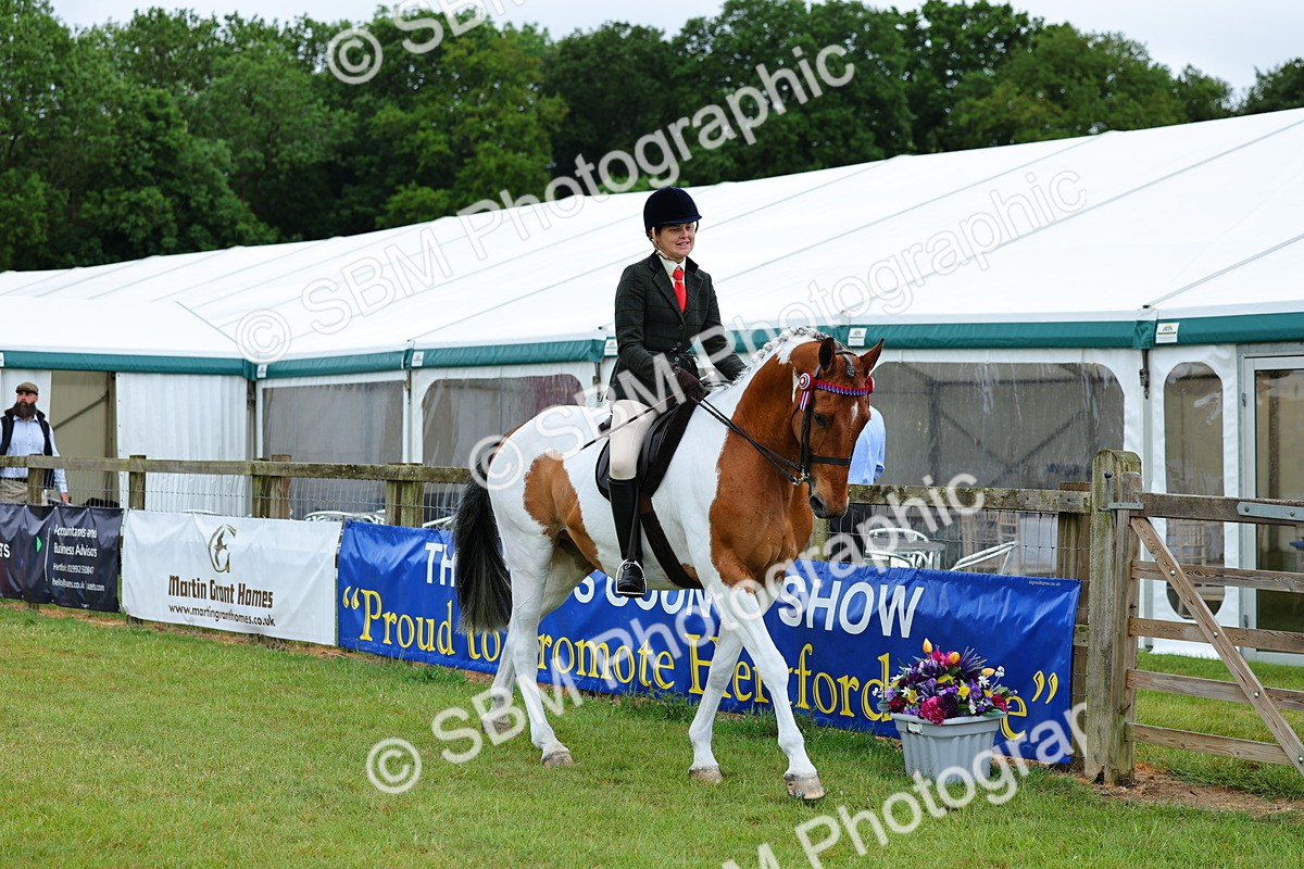 SBM_02456 - Class 9-11 Side Saddle including LIHS Rising Star Ladies Show Horse