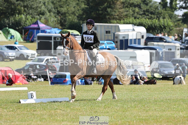 240824X-114840-26987 - D80 Section G and H 11.00 to 12.00