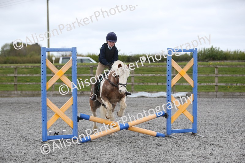 20260412-0163 - Show Jumping