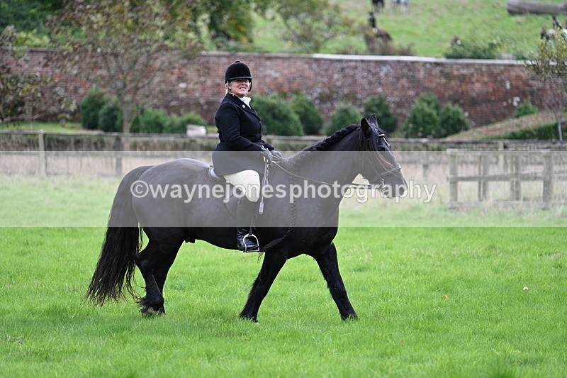 WJ7_4654 - Camera 1 Line 3