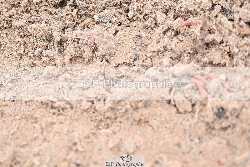 251029-094238-00097 - Clear Round, British Novice and 90cm