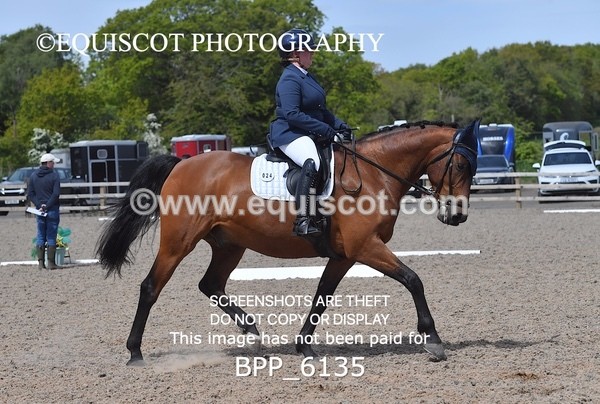 BPP_6135 - 24 L HAMILTON