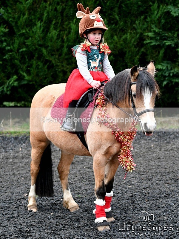 WJ5_3607 - Tanners Christmas Yard Fun 23-12-24