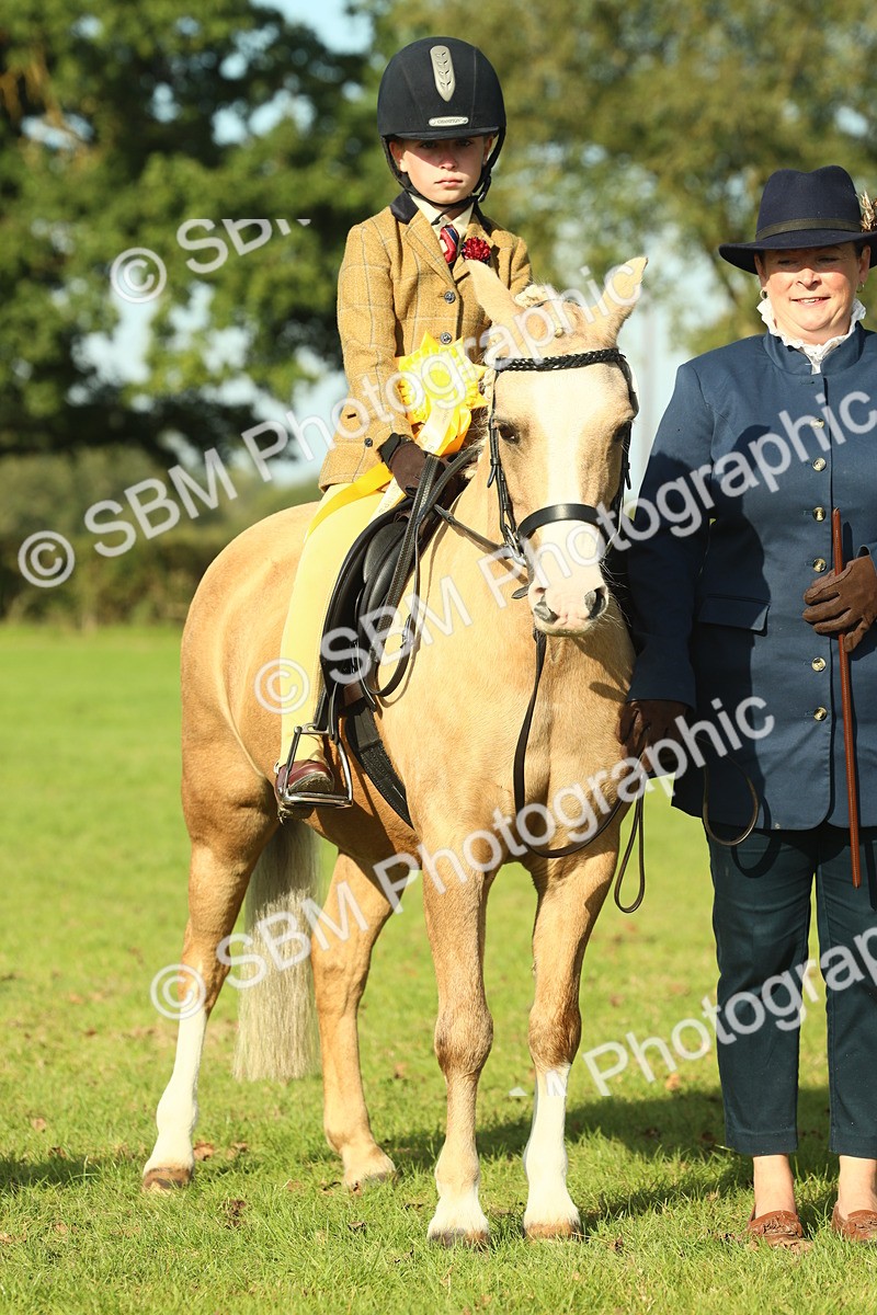 SBM_59271 - S38 - Starters Ridden Showing