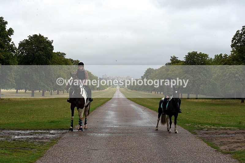 TT3_8271 - Time at Crossing 10:16 to 11:38