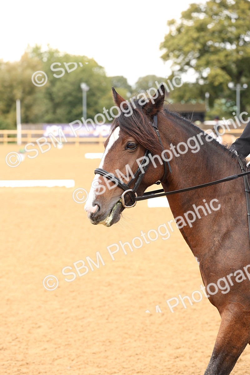SBM_44195 - D6 - Small Tour Championship Intro 4