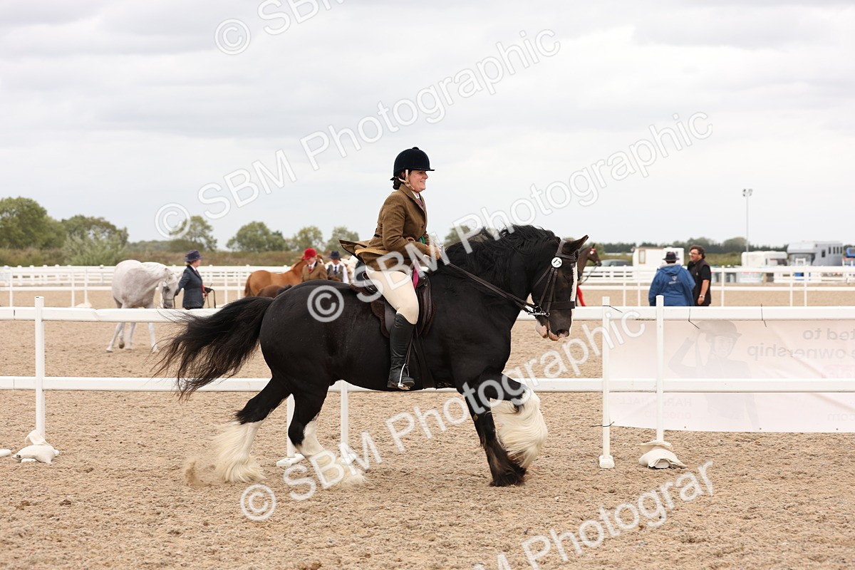 SBM_19755 - Class 216 - Ridden Traditional - Native Cob