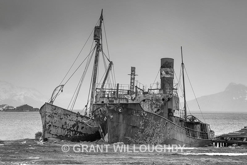 Whaling Wrecks Grytviken - Antartica