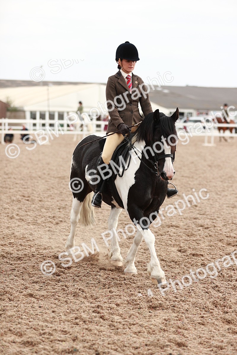 SBM_16752 - Class 214 Ridden Cob