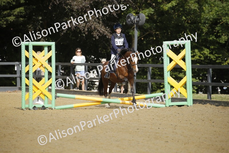 20250622-1360 - 40cm