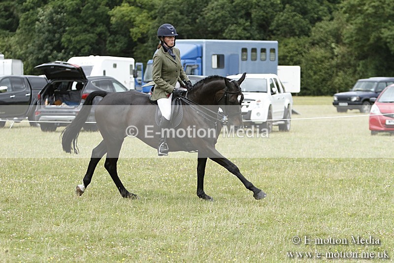 BVR160717-2230 - Ring 3 BVRC Show 16/07/17