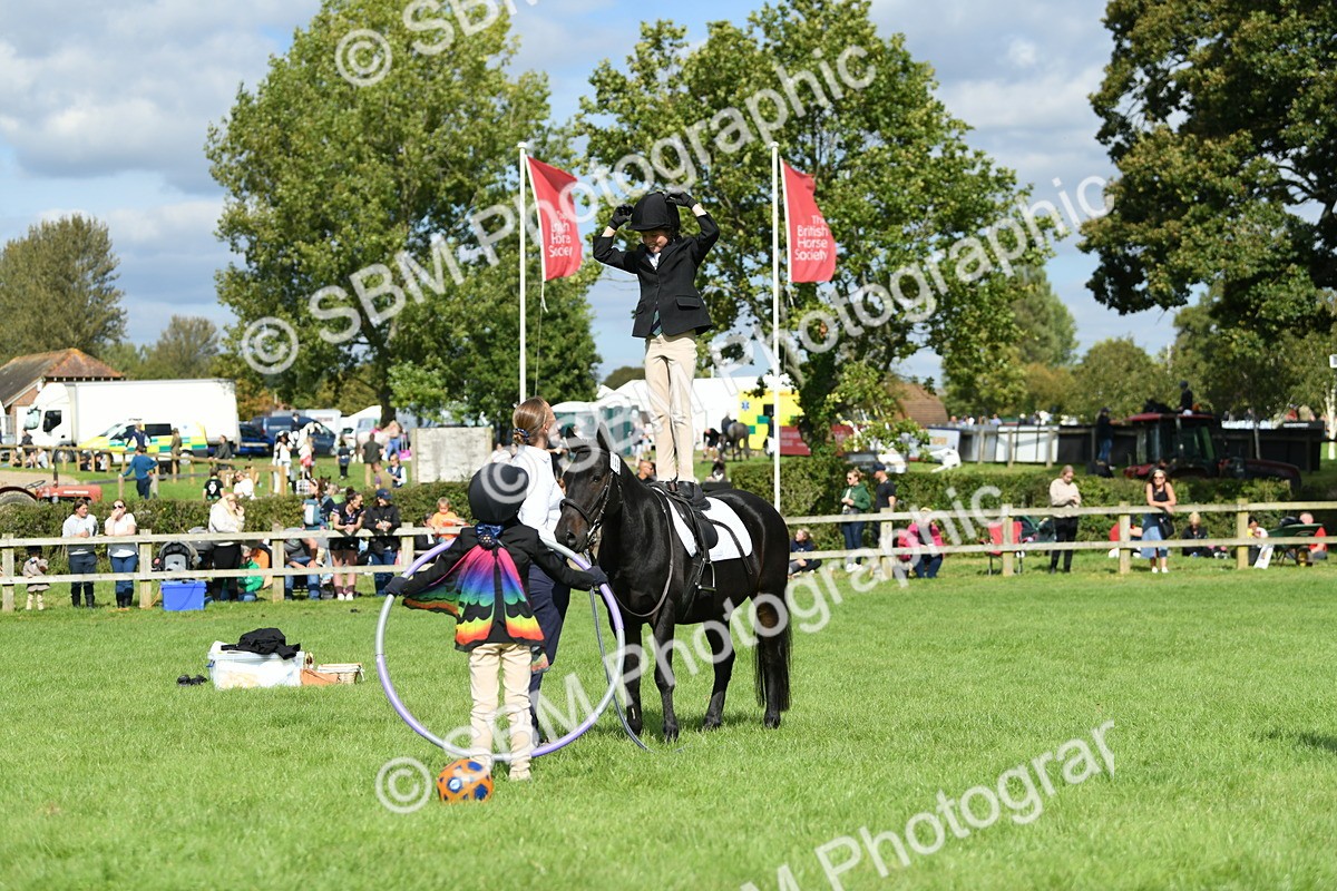 SBM_46963 - S12 - Family Horse & Pony