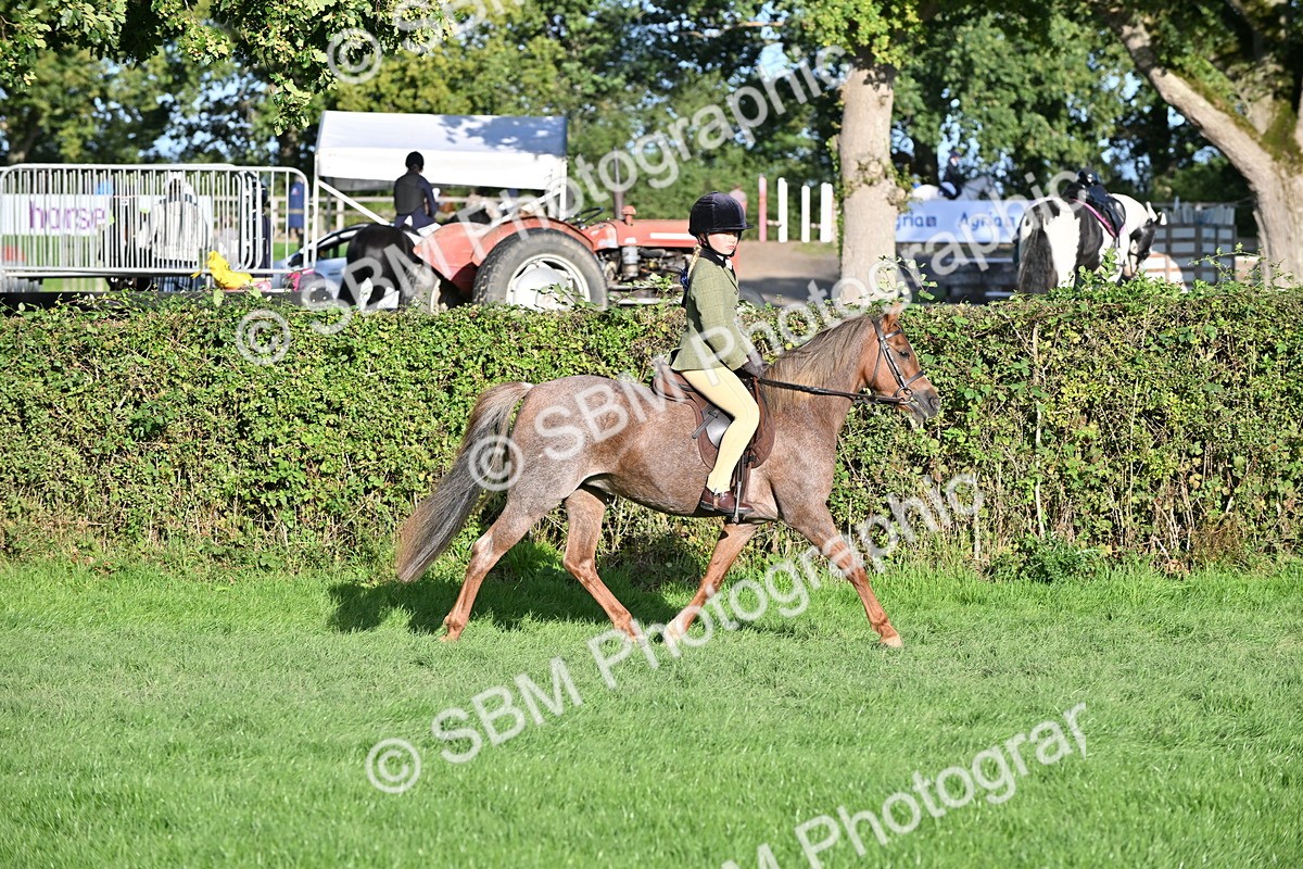 SBM_53039 - S23 - First Ridden Mountain & Moorland Pony