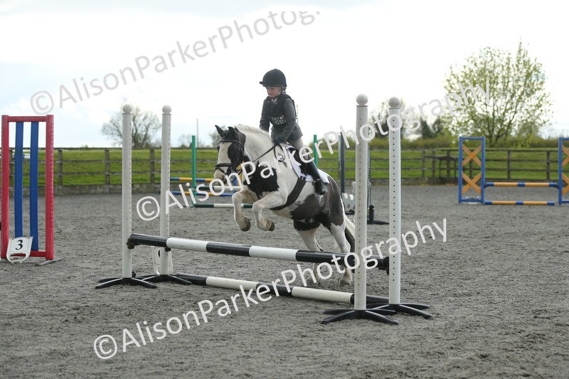 20260412-1957 - Show Jumping