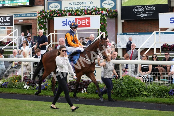 yr10062022r5-10 - Race 5 4.05pm Irish Thoroughbred Marketing Stakes