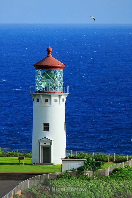 Kilauea Point Lighthouse, Kauai - Hawaiian Islands, USA