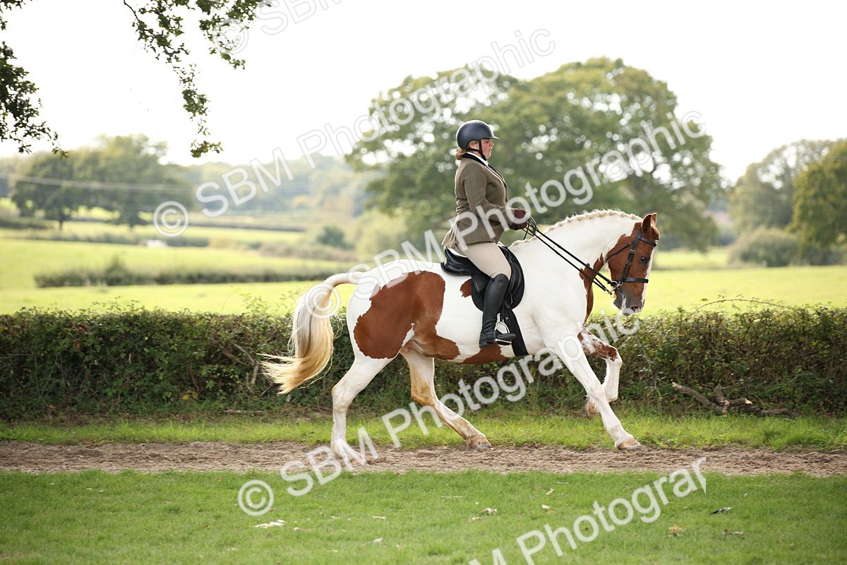 SBM_70381 - S66 - Hunter Ridden